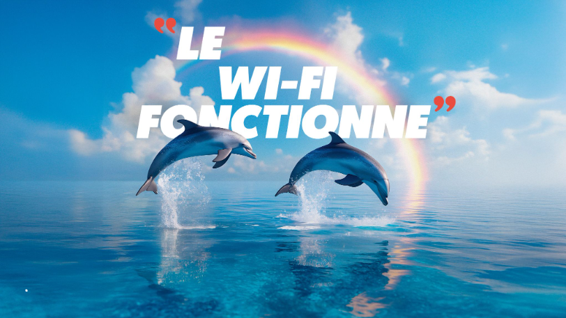 Morning Laffitte photo 2