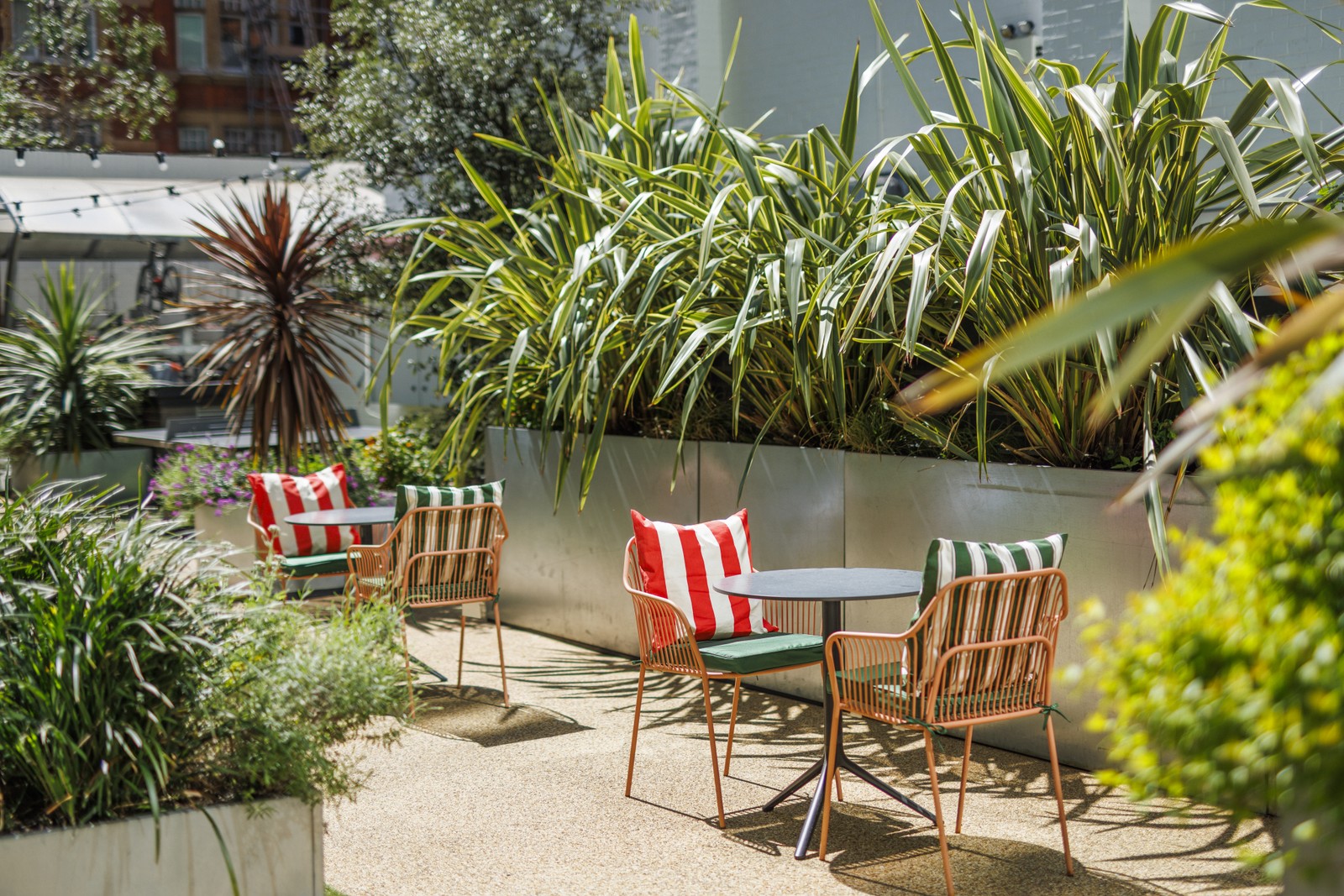 Elm Yard photo 1