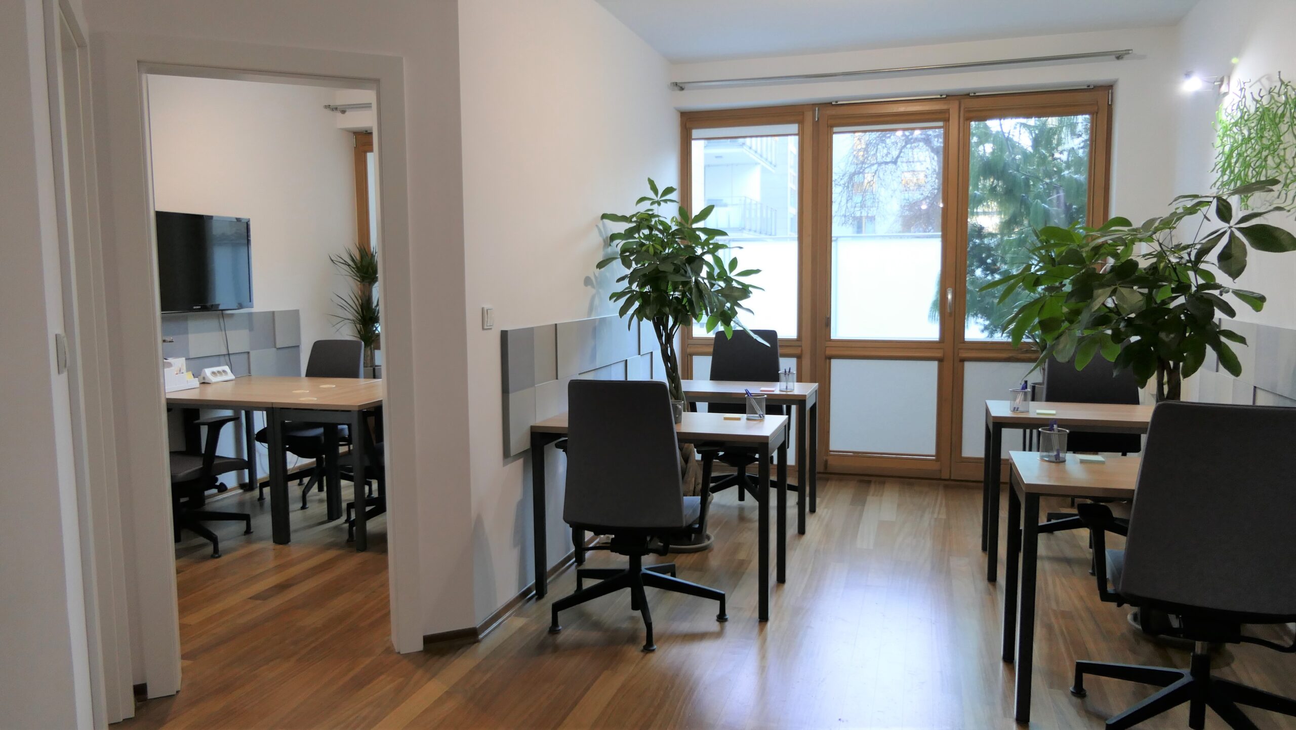 Narbutta 83 photo 1