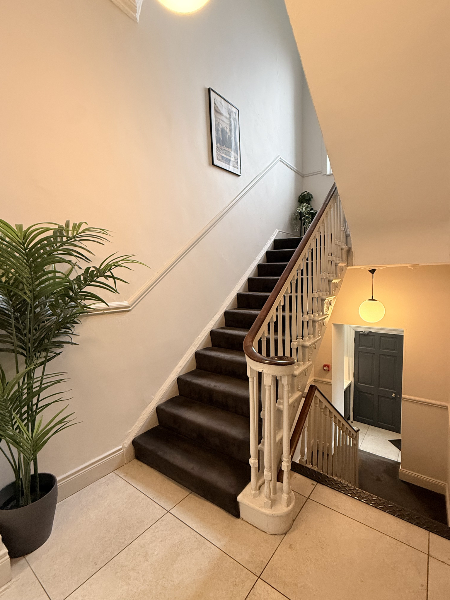 62 Mount Street Lower photo 6
