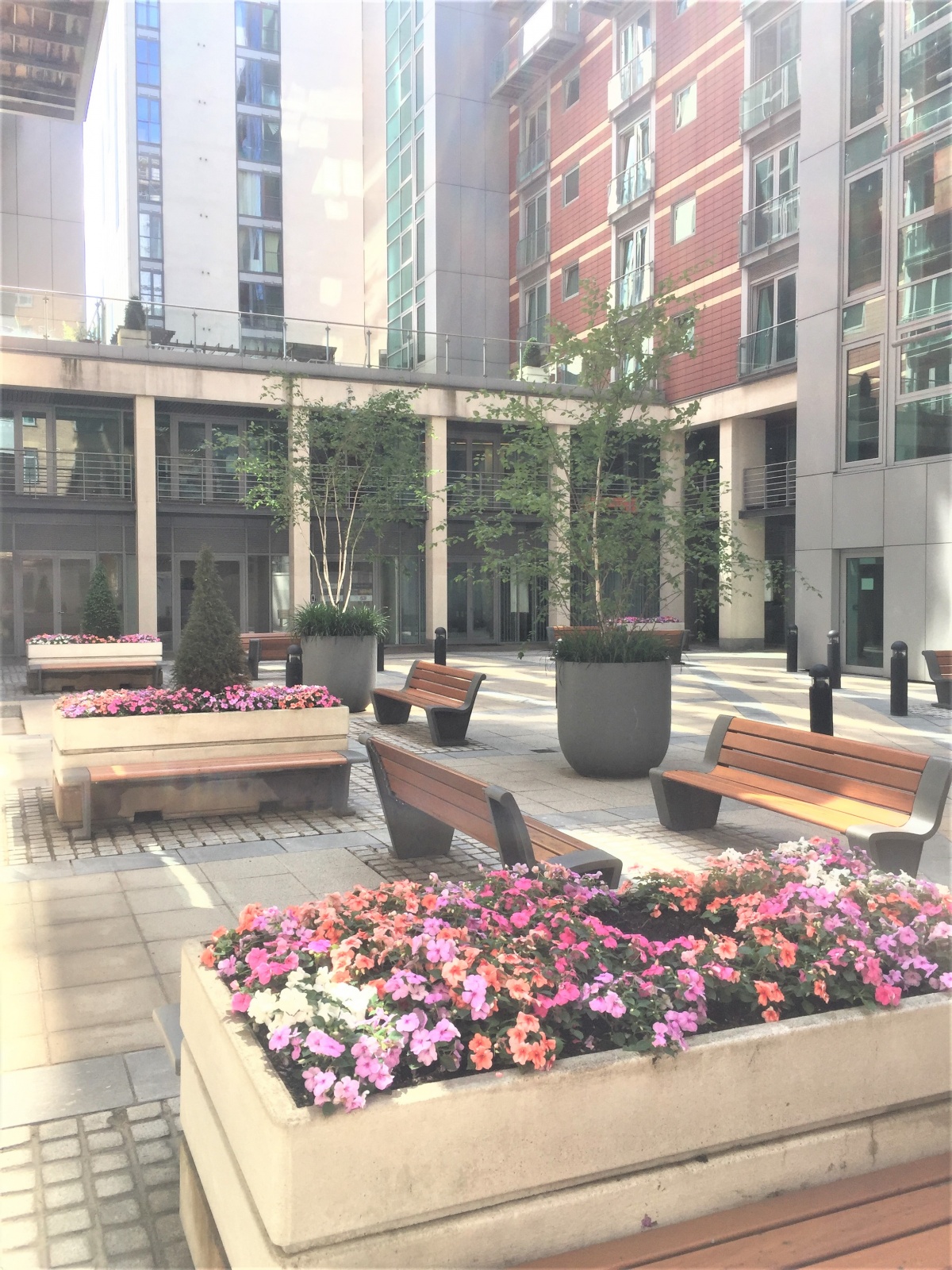 Albert Embankment photo 7