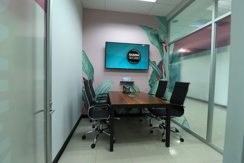 GuanaWork photo 2