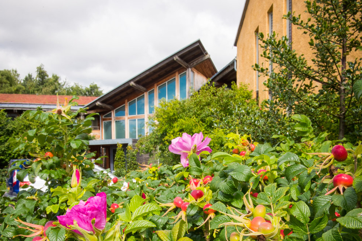 The Rivergreen Centre photo 4