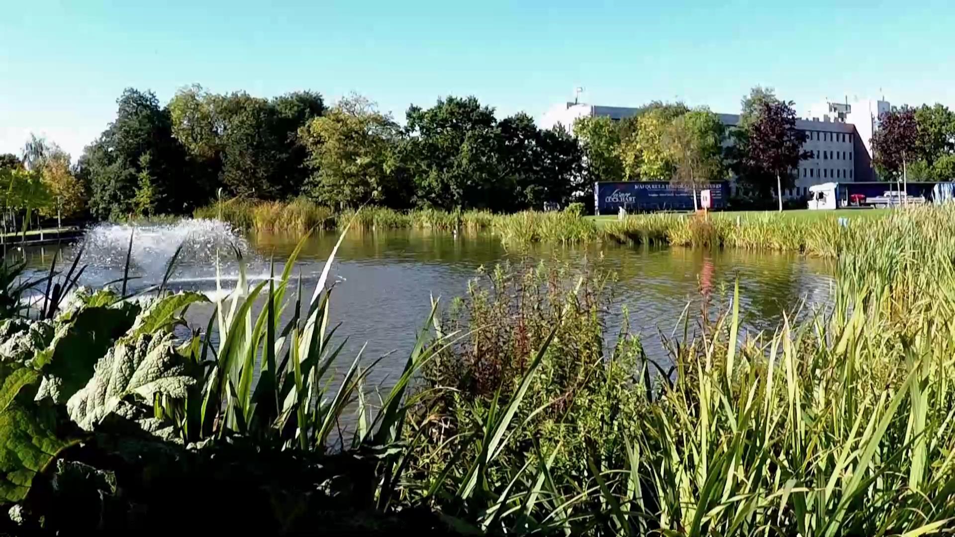 Warrington Birchwood photo 5