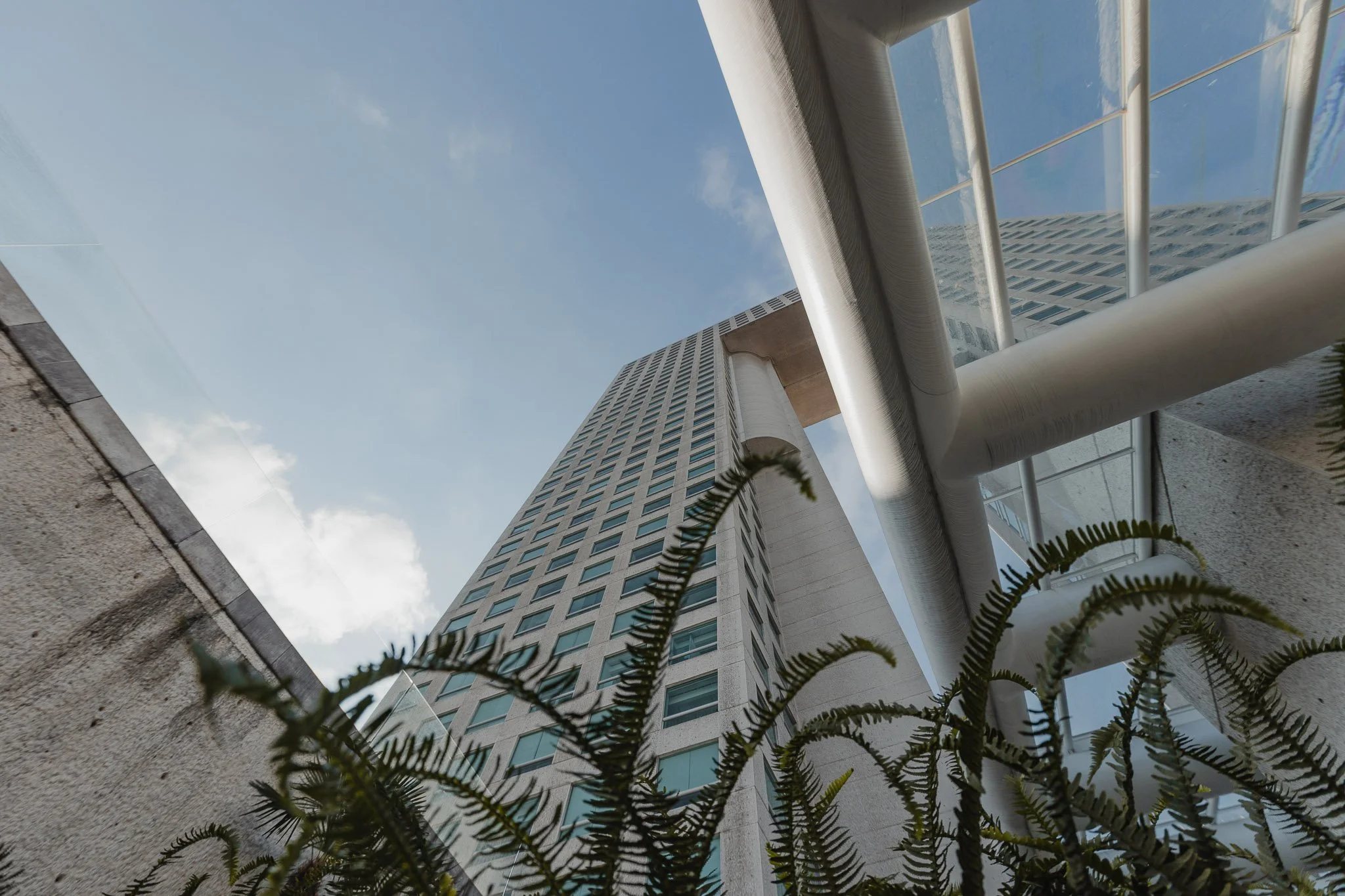 Torre Arcos Bosques photo 7