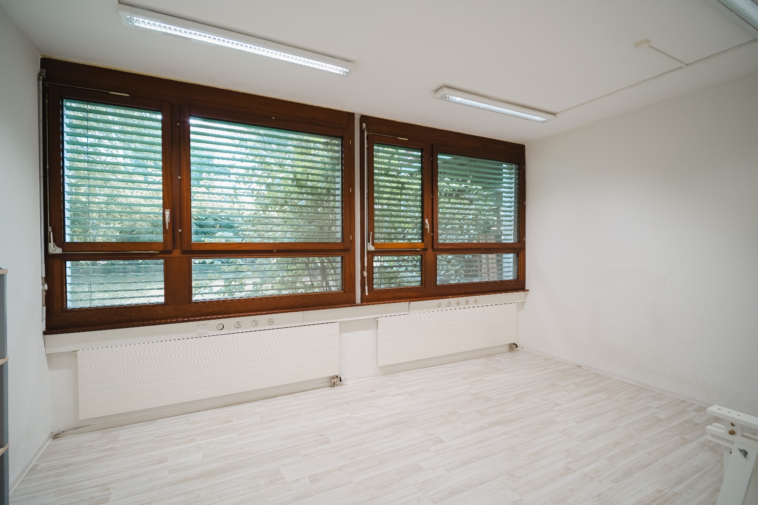 T19 bis coworking space photo 3
