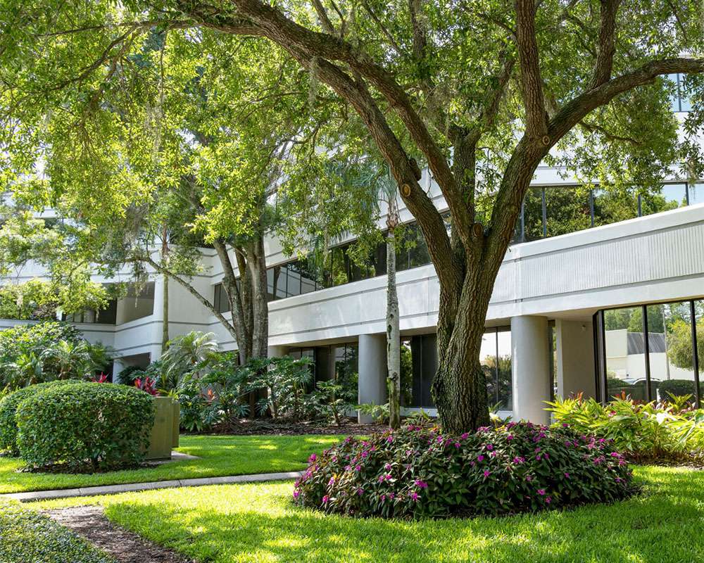 Signature Workspace - North Dale Mabry photo 1