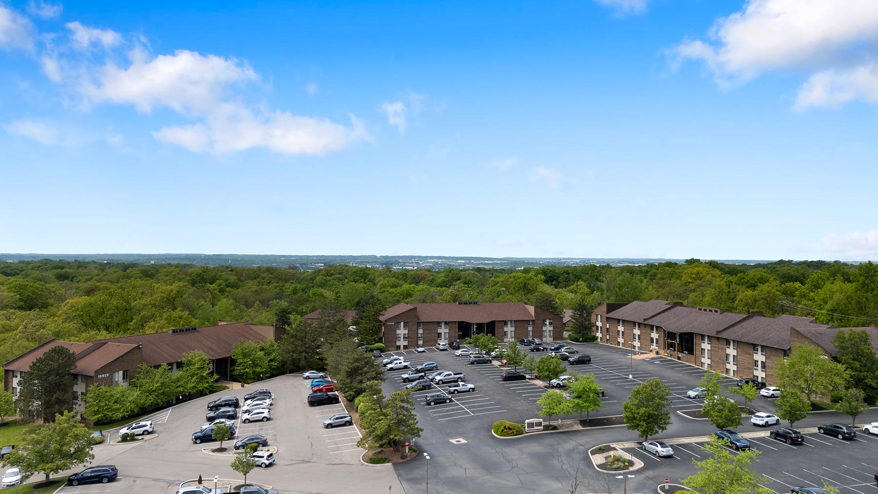 Blue Ash