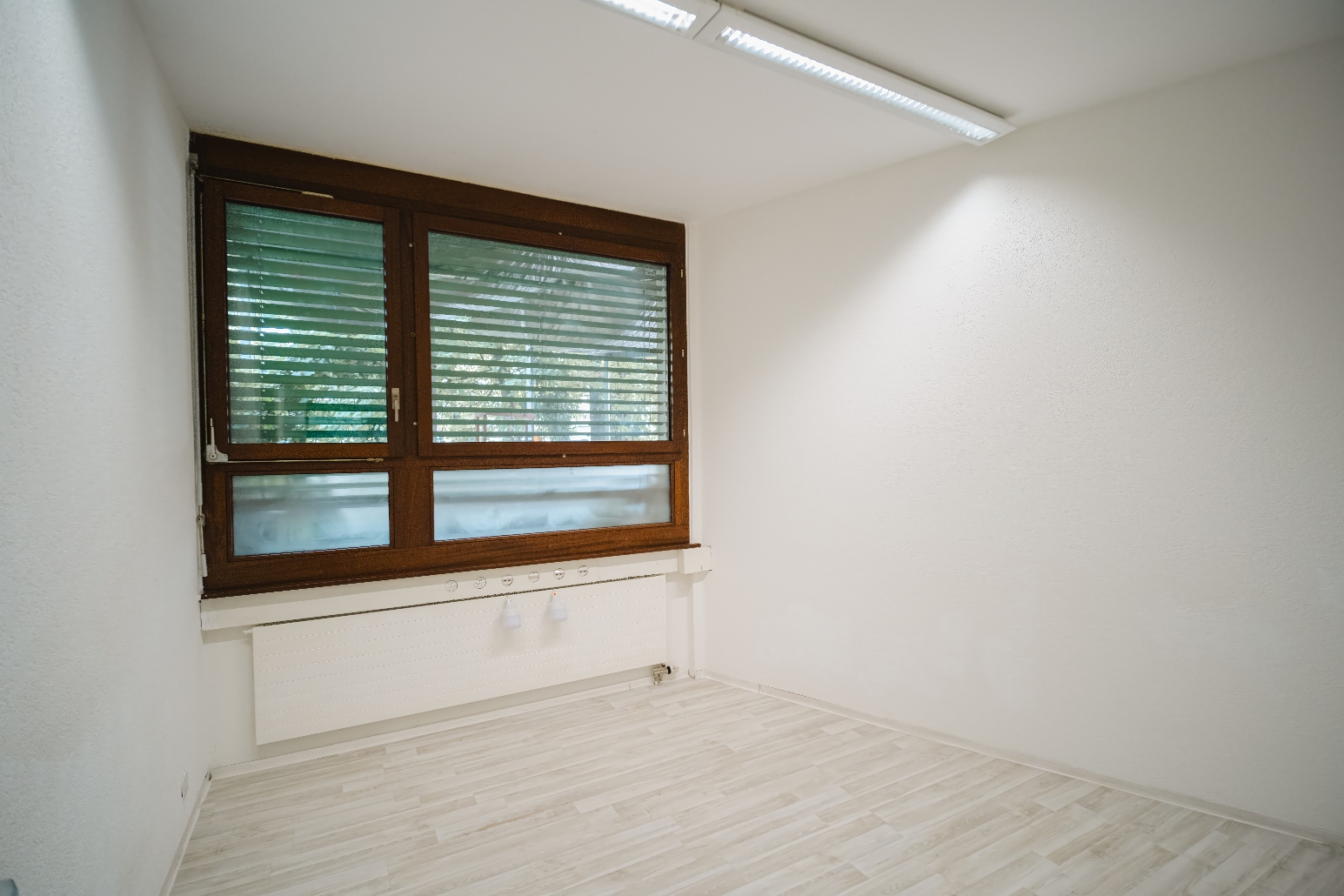 T19 bis coworking space photo 5