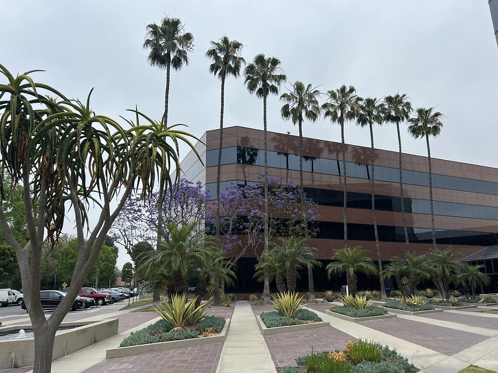 Access Offices - Seal Beach