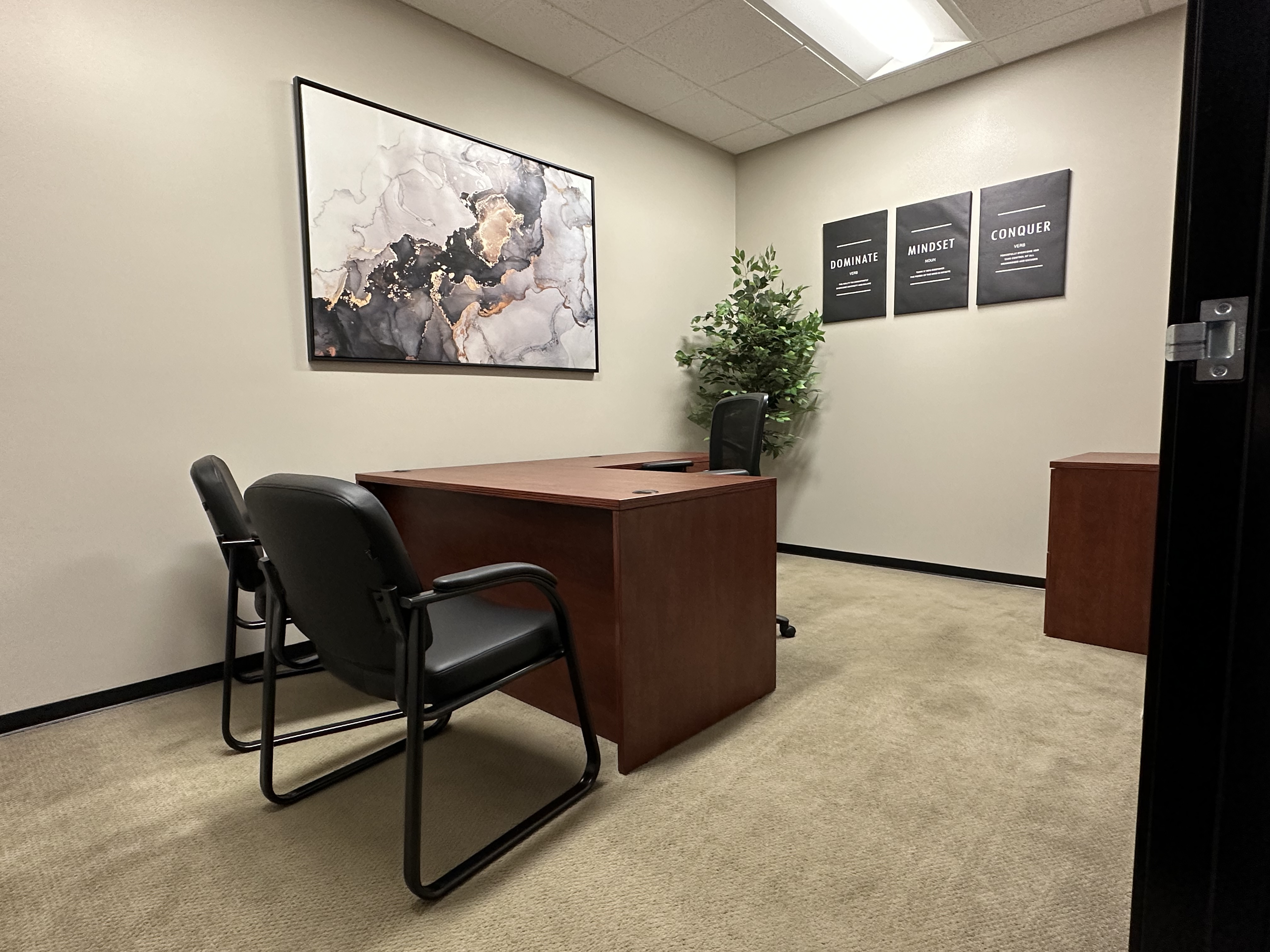 Succeed Professional Suites - Roseville photo 2