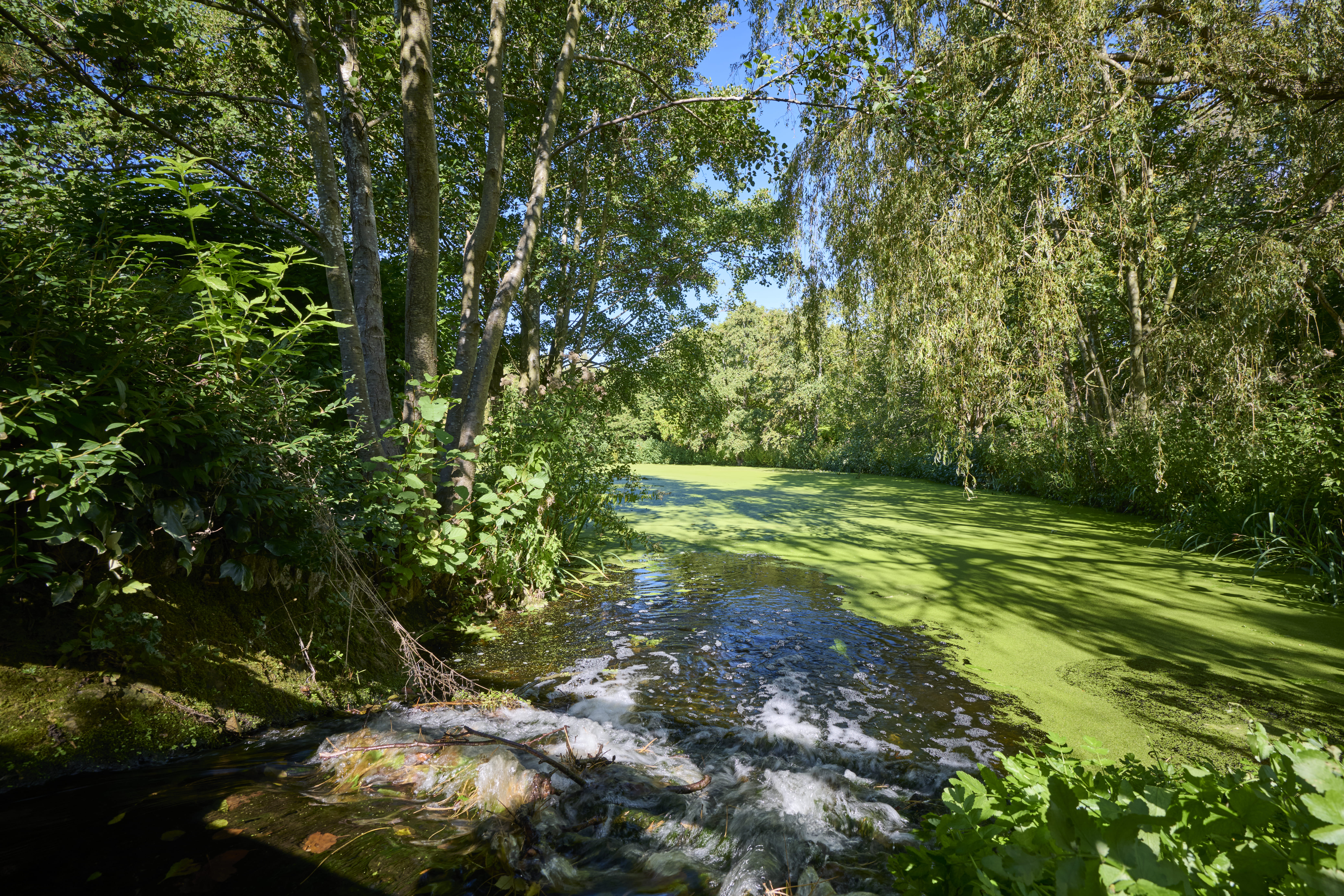 Lynch Wood Park photo 11