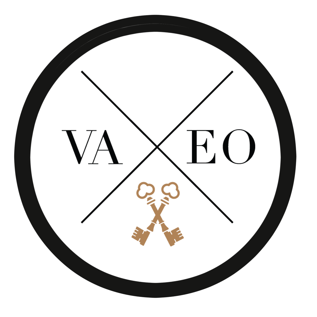 Vaeo Business Club Mexico logo