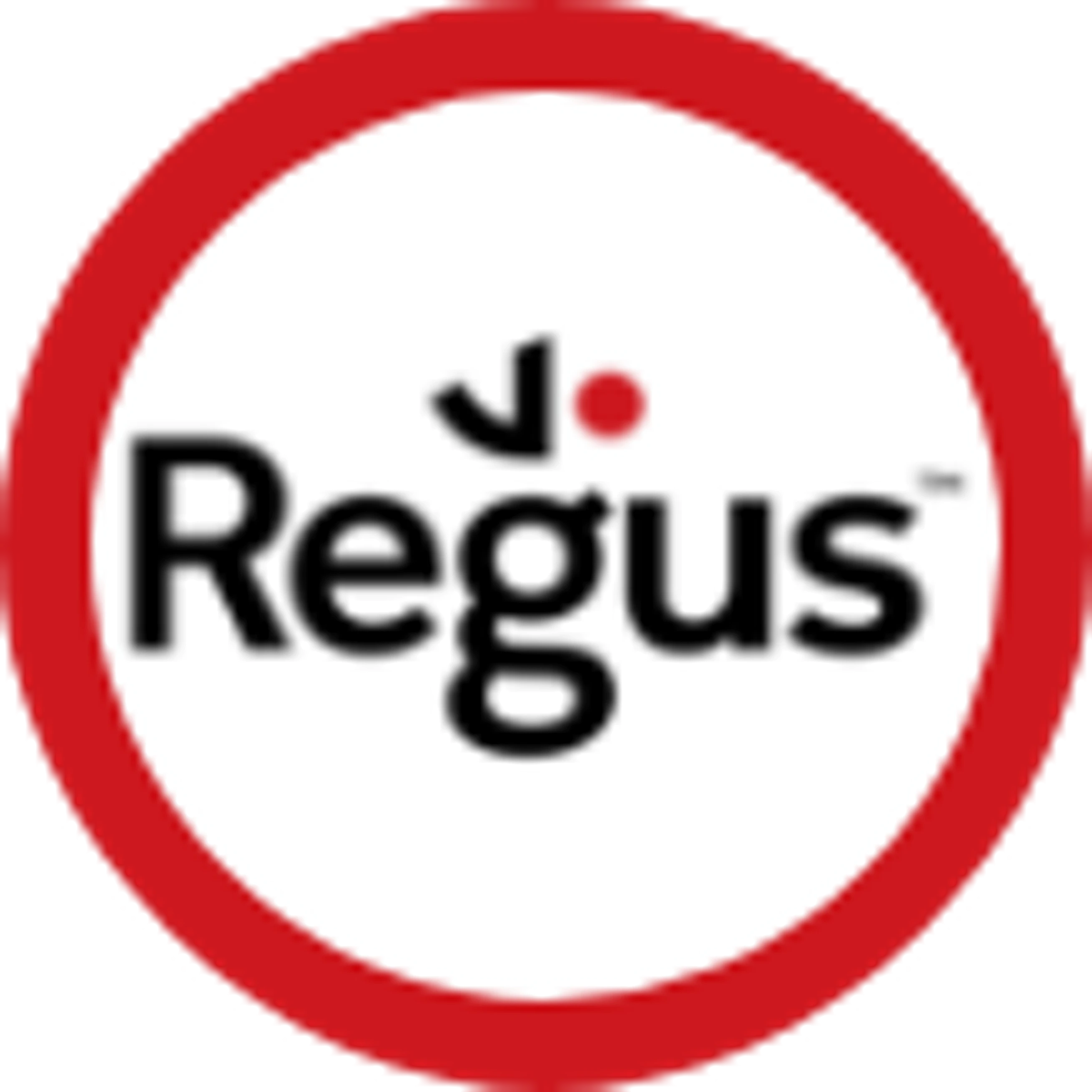 Spaces Dublin logo