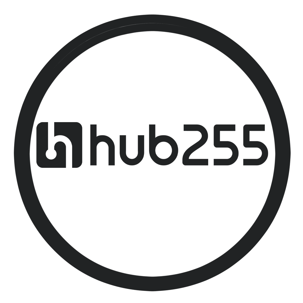 Hub 255 Tanzania logo