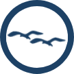 Bay Area Executive Offices SF logo