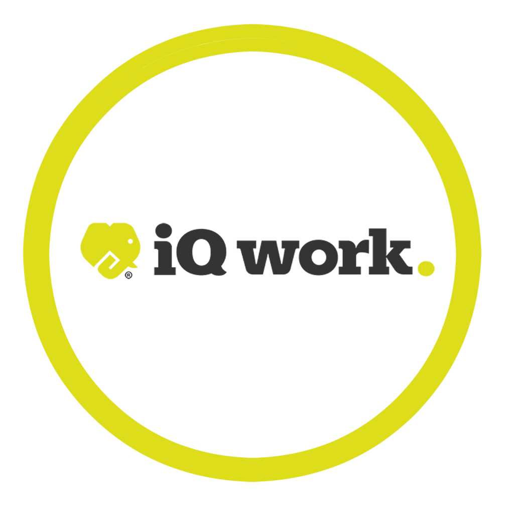 IQ Work Mexico logo
