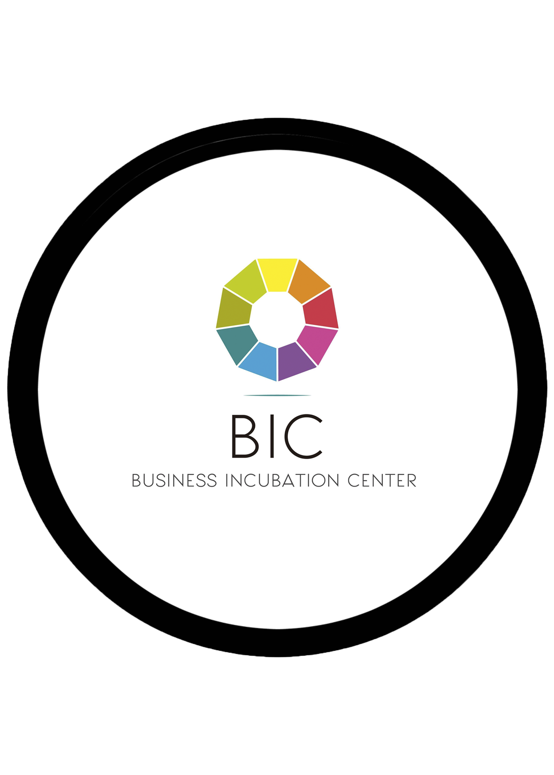 BIC - Business Incubation Center Cape Verde logo