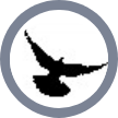 Liberty Flexible Workspaces Perth logo
