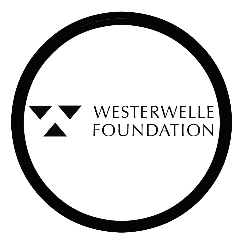 Westerwelle Foundation (WSH) Tunisia logo
