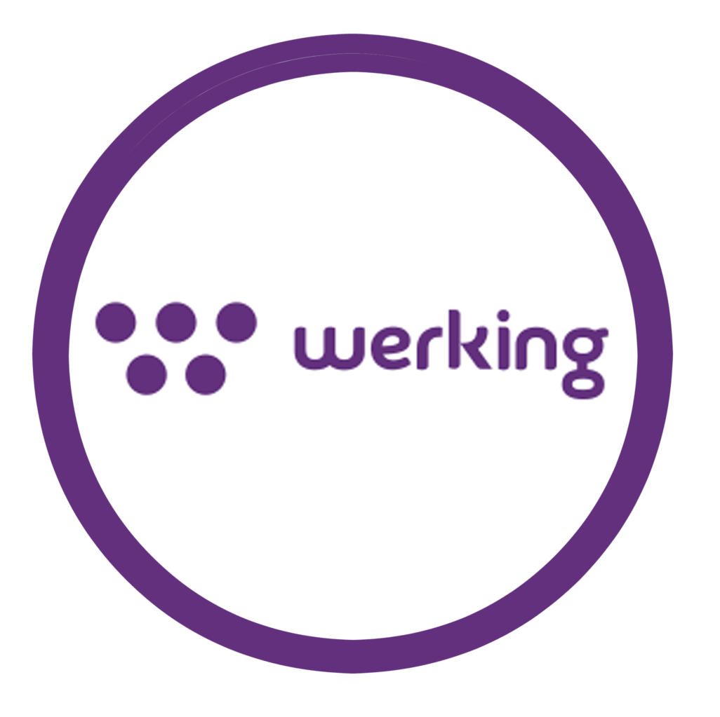 WERKING Paraguay logo
