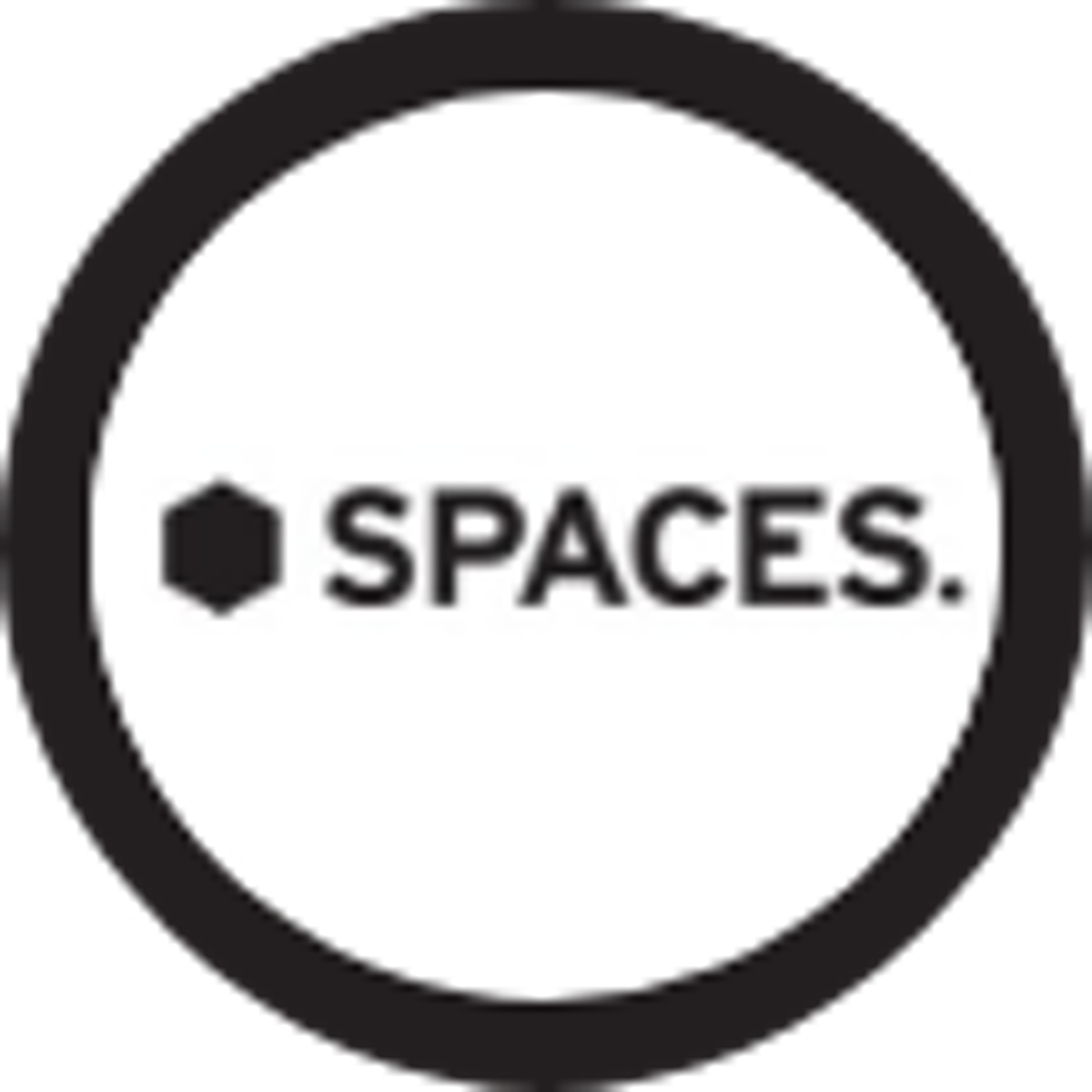 SPACES South Africa logo