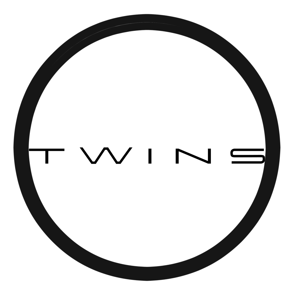 Twins logo
