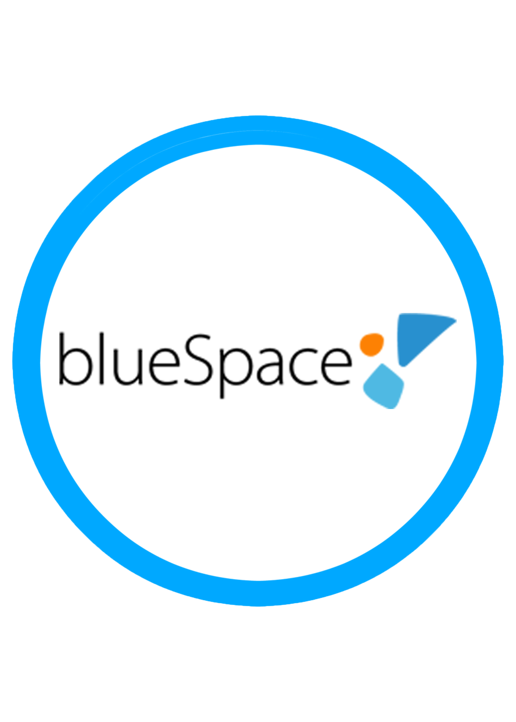 blueSpace Ethiopia logo