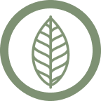 Agora Spaces logo