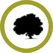 Meadow Creek Seattle logo