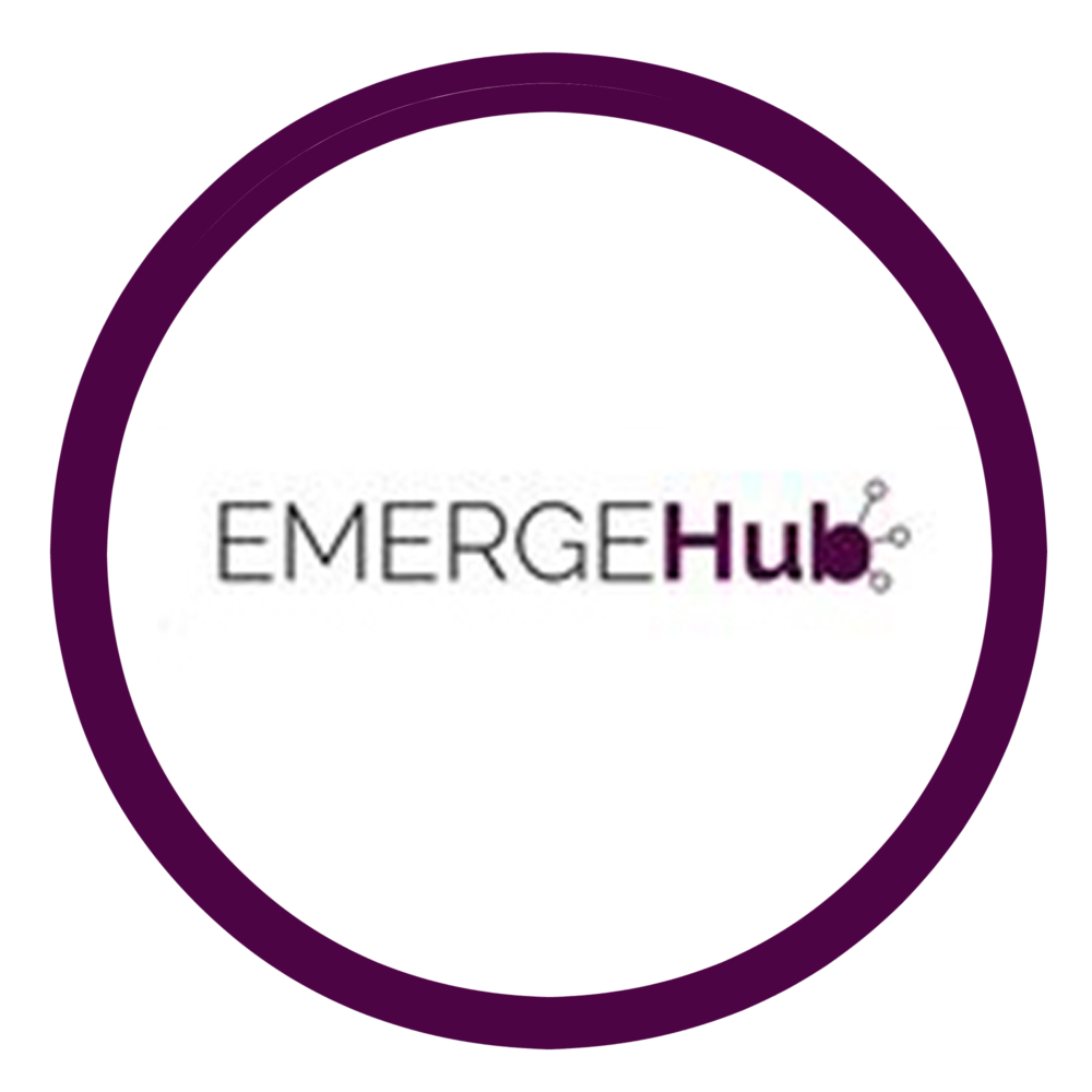 Emerge Hub Nigeria logo
