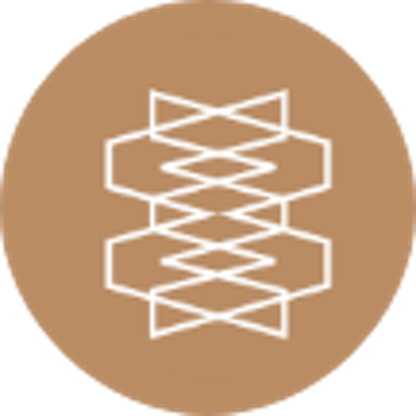 Welkin and Meraki Eindhoven logo