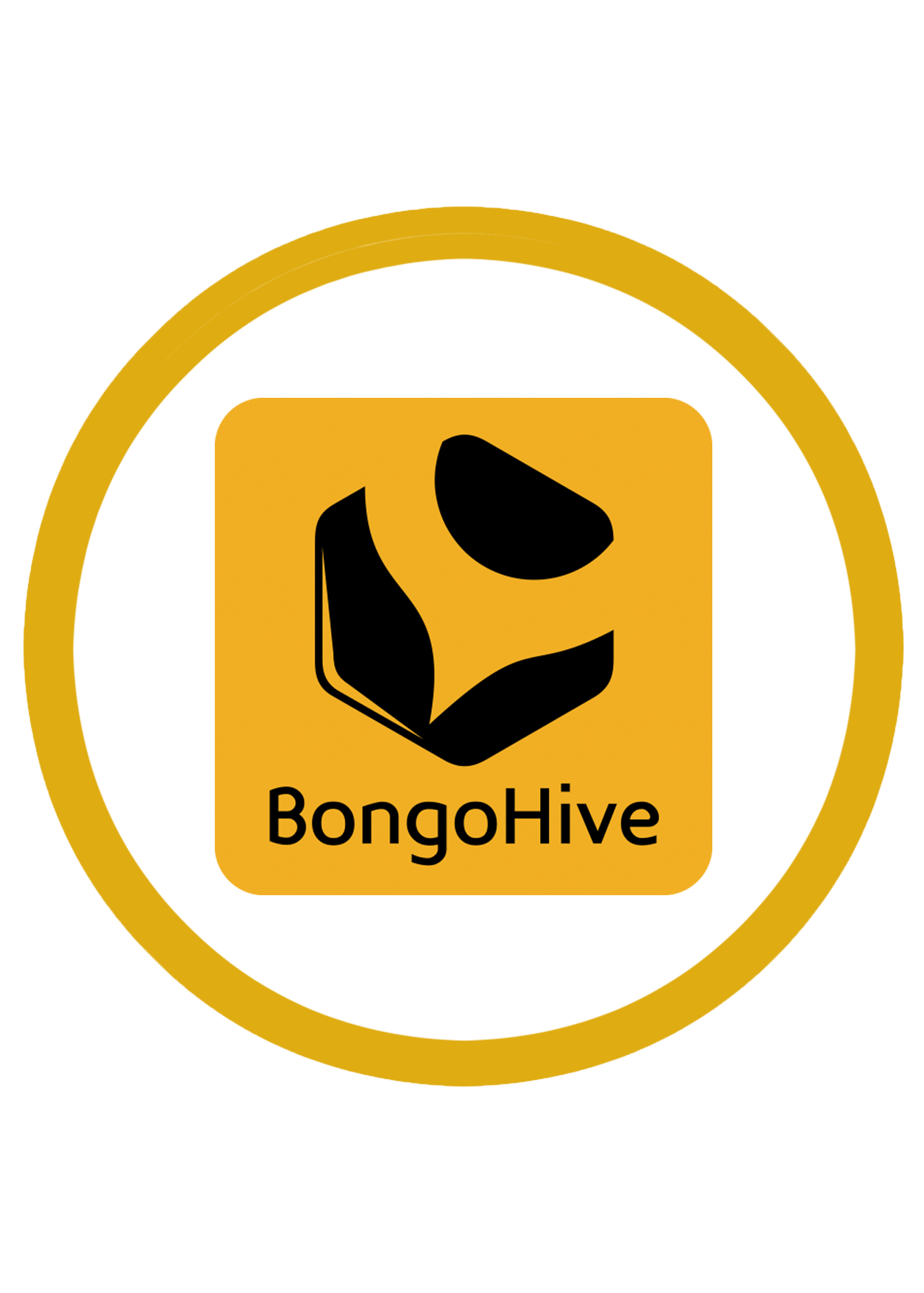 BongoHive Zambia logo