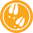 MalamaDoe logo