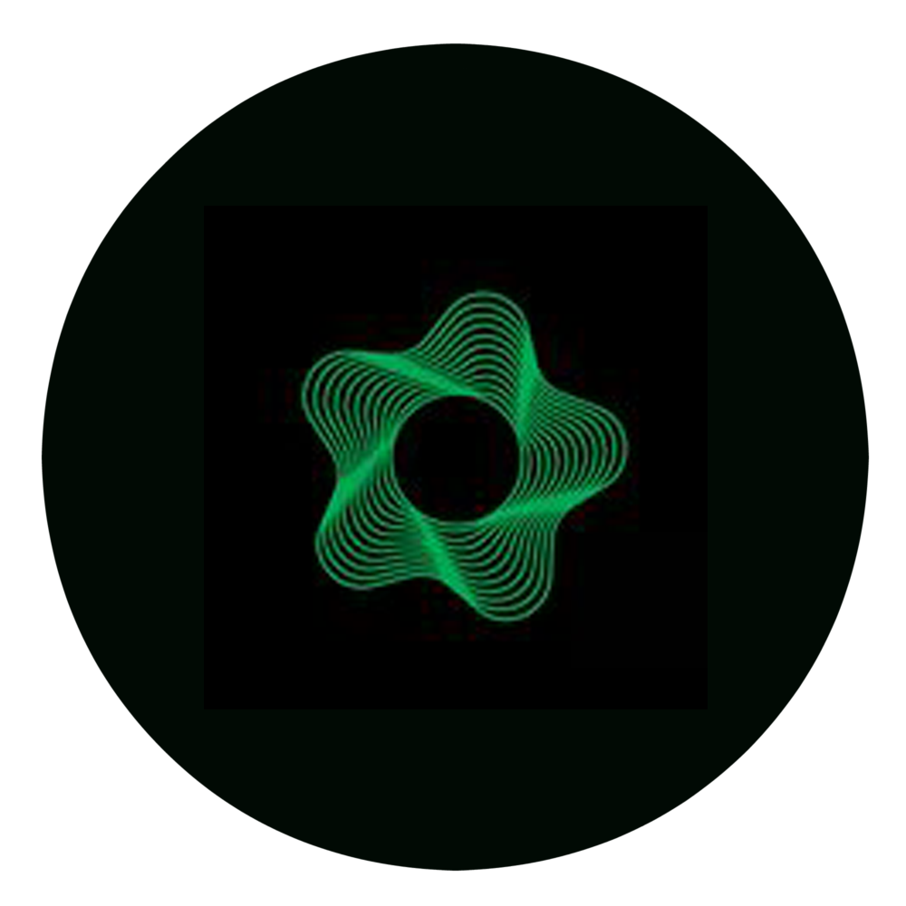 Blooms Egypt logo