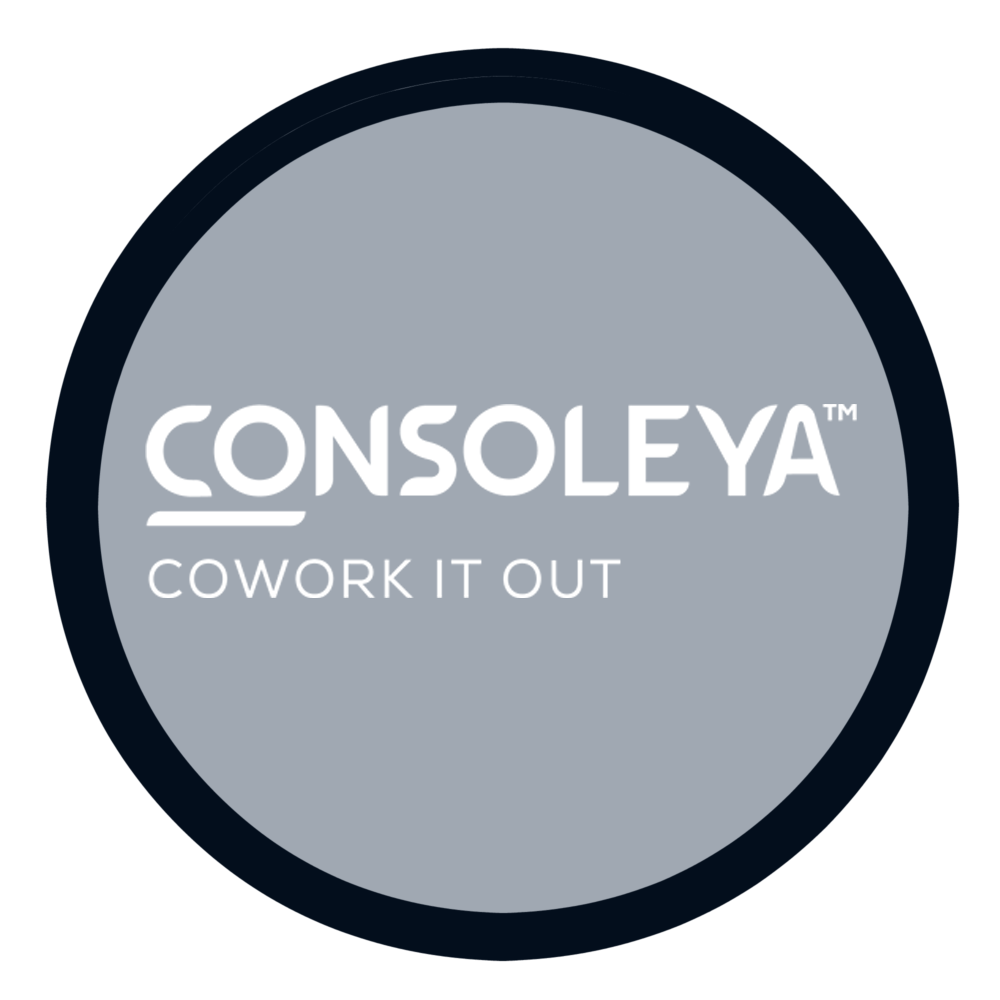 Consoleya Egypt logo