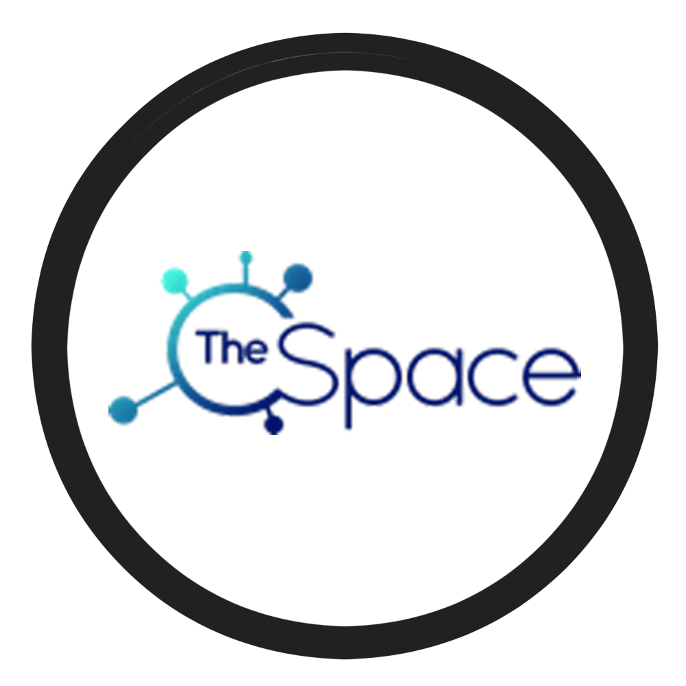 The Space Nigeria logo