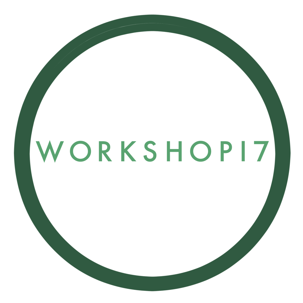Workshop17 South Africa logo