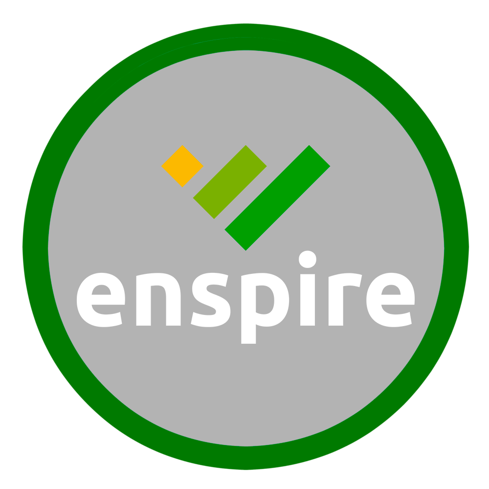 Enspire Nigeria logo