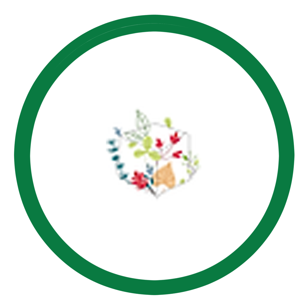 The Green Box Tunisia logo