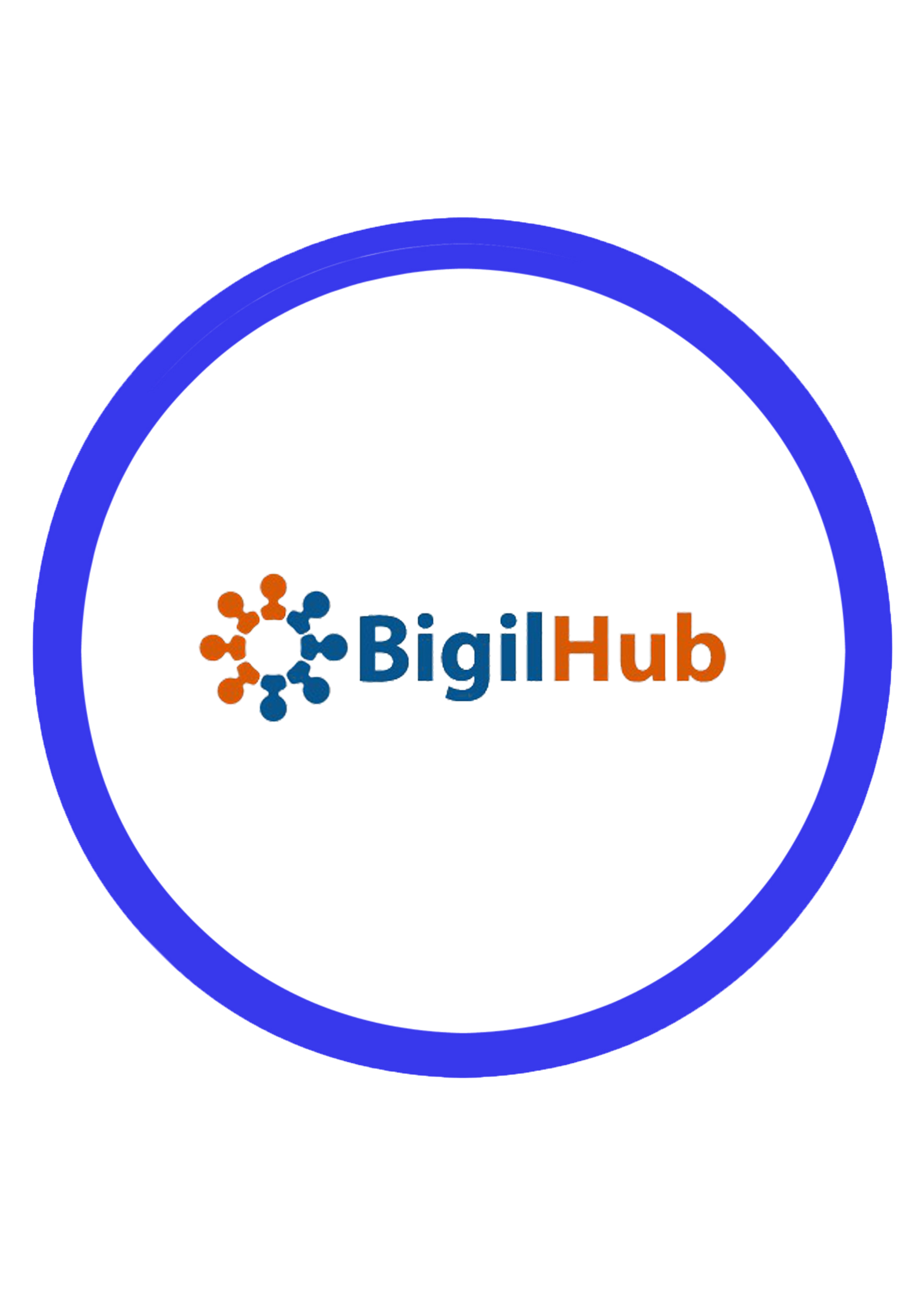 Bigil Hub Somalia logo