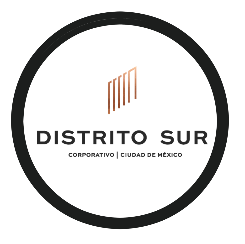 South District Mexico logo
