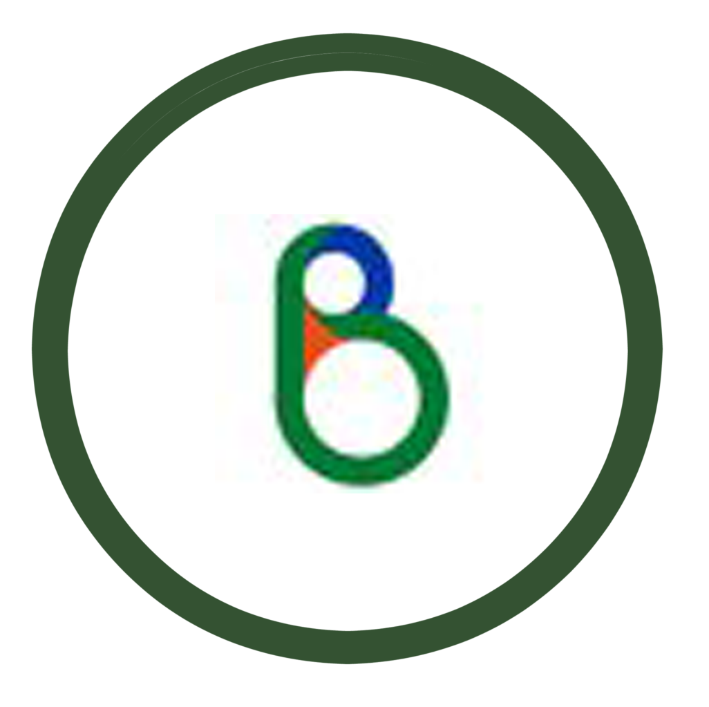 Busocy Bolivia logo